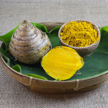 Javanese Turmeric Essential Oil