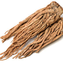 angelica root