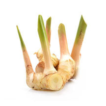 Galangal